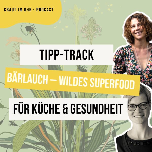 Bärlauch – Wildes Superfood für Küche & Gesundheit